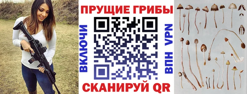 Галлюциногенные грибы Psilocybine cubensis  Чердынь 